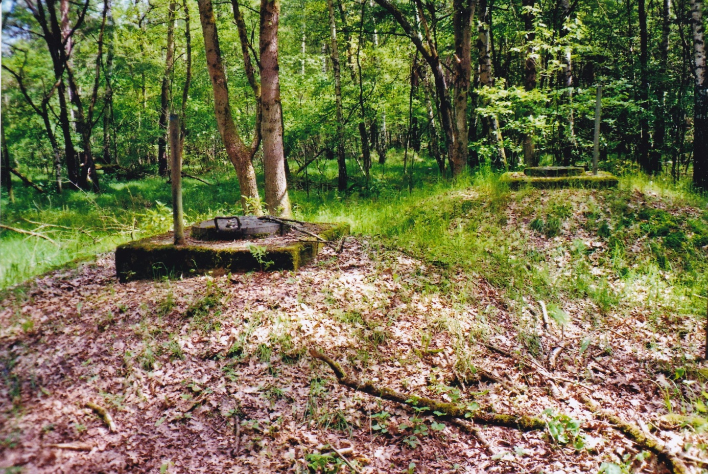 Die beiden Brunnen Nr.18 im Wasserschutzgebiet I
