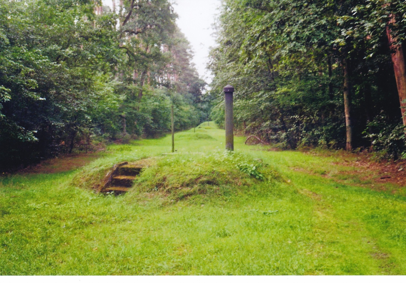 Teilansicht der Brunnengalerie im Wasserschutzgebiet I