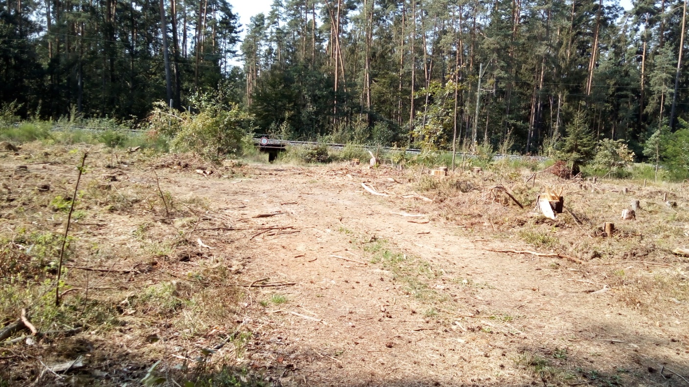Der Wild-Durchlass im September 2024!